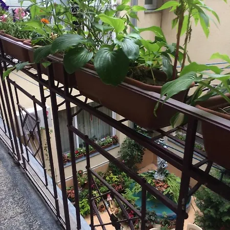 Historical Center * Uzjhorod